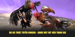 Đá Gà Trực Tuyến KING88 - Game Hot Hit Nên Tham Gia