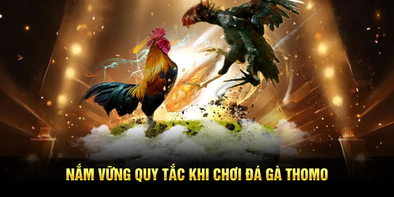 Nắm vững quy tắc khi chơi đá gà Thomo