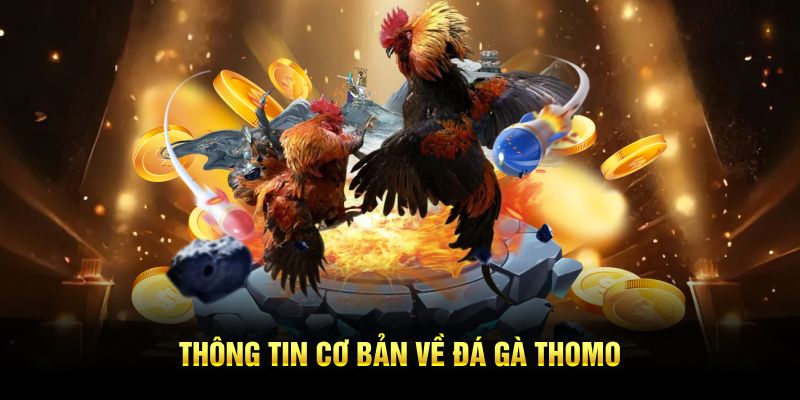 Thông tin cơ bản về đá gà Thomo