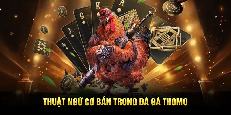 Thuật ngữ cơ bản trong đá gà Thomo