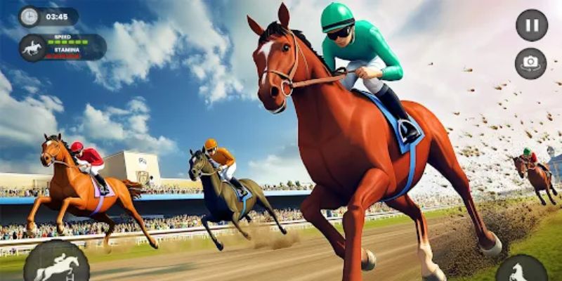 Tổng quan về đua ngựa và hình thức cá cược phổ biến