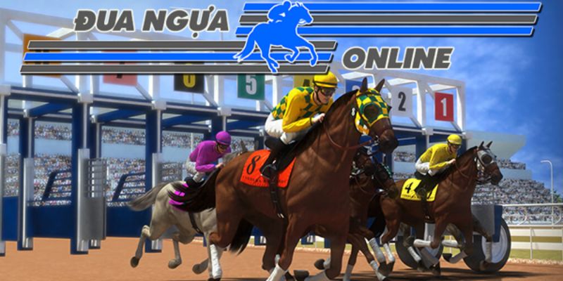 Hướng Dẫn Đua Ngựa Chuẩn Chỉnh Cho Anh Em Mới Chơi